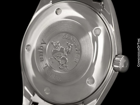 Omega Seamaster Aqua Terra Mens Full Size 39mm Watch, Ref. 2517.50.00 - Stainless Steel
