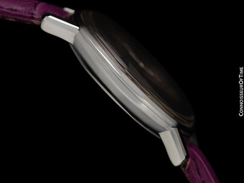 1966 Omega Seamaster Mens Vintage Cal. 565 Watch with Purple Dial - Stainless Steel